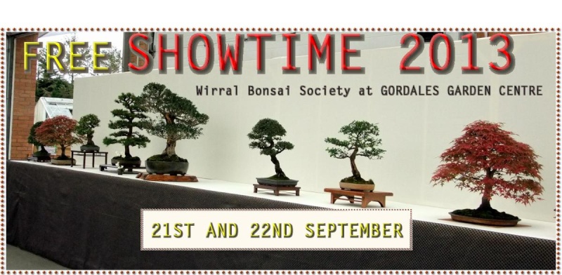 Wirral Bonsai Society Members Annual Show W-b-s_11