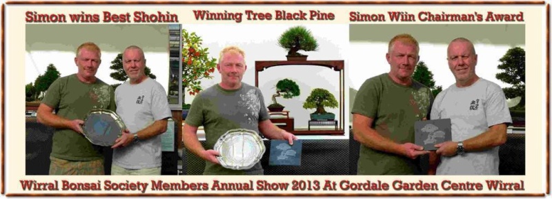 Wirral Bonsai Society Members Annual Show  Results and Complete Show 2013 W-b-s_12