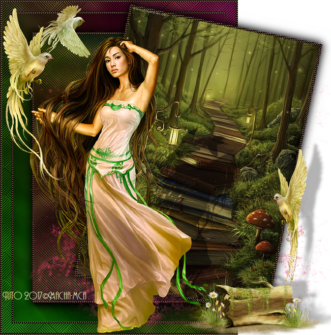 9. Tuto Expert de Macha "Elfe aux oiseaux"  193g10