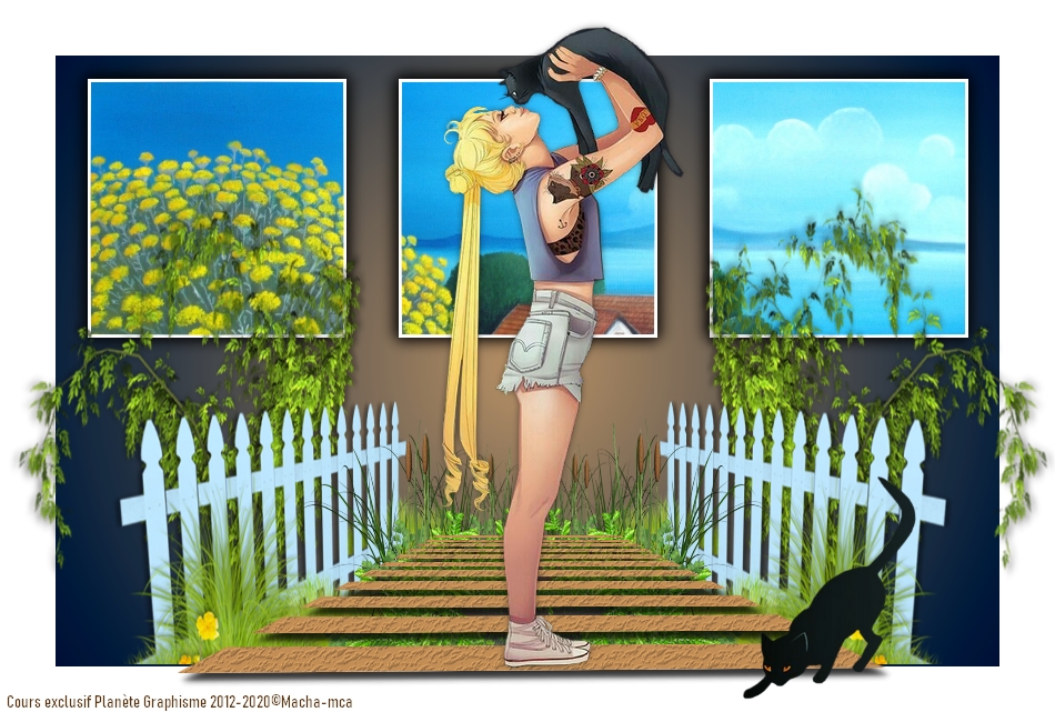 8 . Etude ciblée : Les chats "chou" Les_ch10