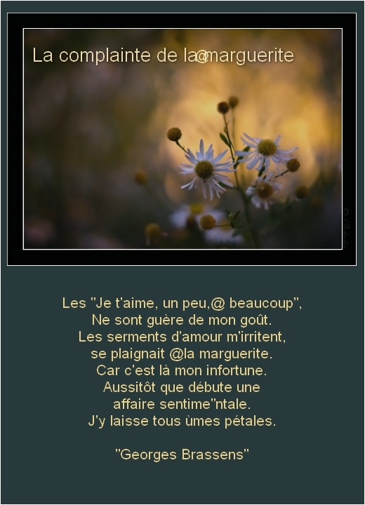 12 . Etude ciblée  : Corriger un texte sur une création Poeme_11