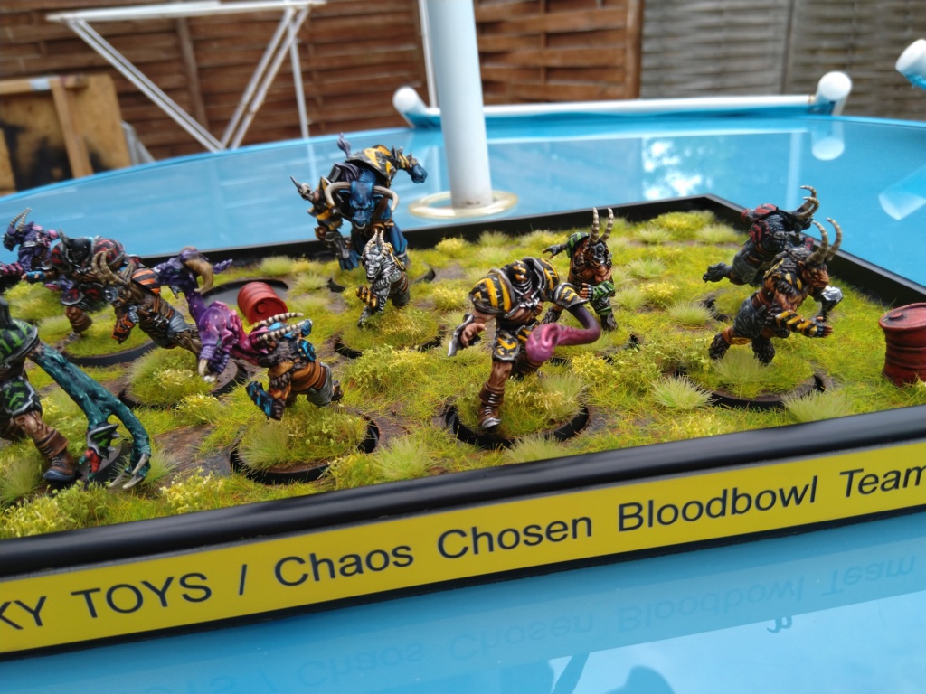 The DINKY TOYS / Chaos Chosen BloodBowl Team - Page 2 Img_2377