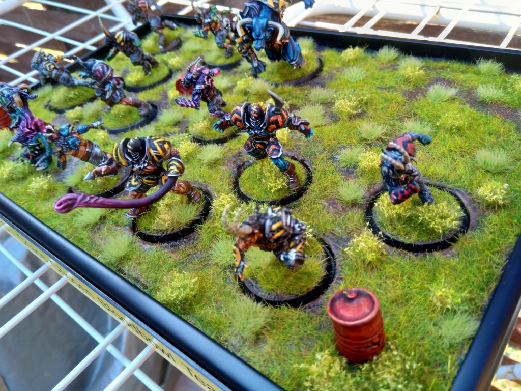 The DINKY TOYS / Chaos Chosen BloodBowl Team - Page 2 Img_2390