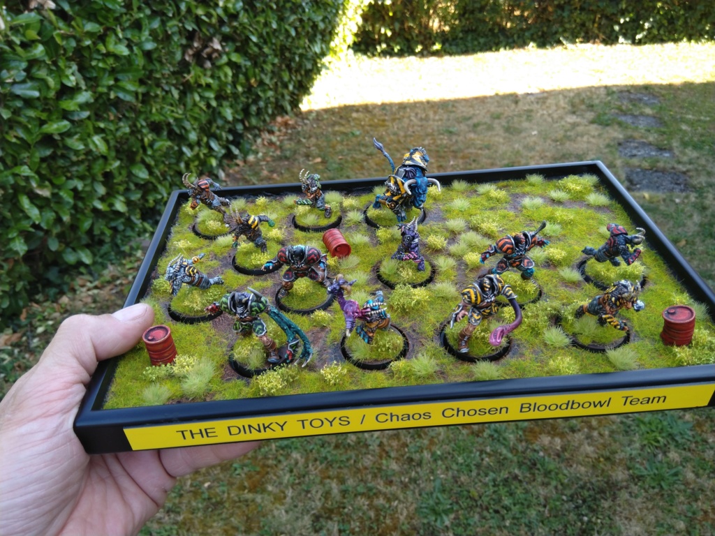 The DINKY TOYS / Chaos Chosen BloodBowl Team - Page 2 Img_2391