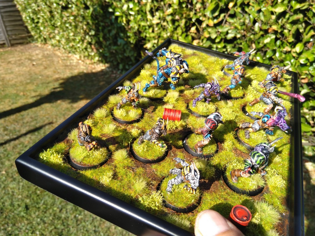The DINKY TOYS / Chaos Chosen BloodBowl Team - Page 2 Img_2392