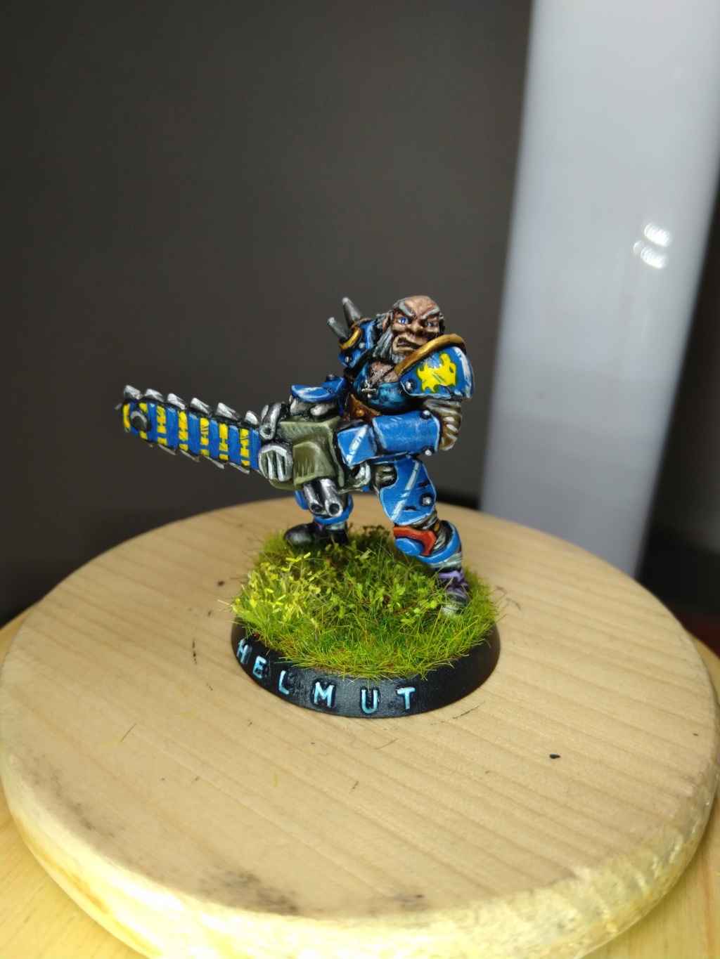 the Reikland Reavers / Emblematic  Human Blood Bowl Team Wulf_110