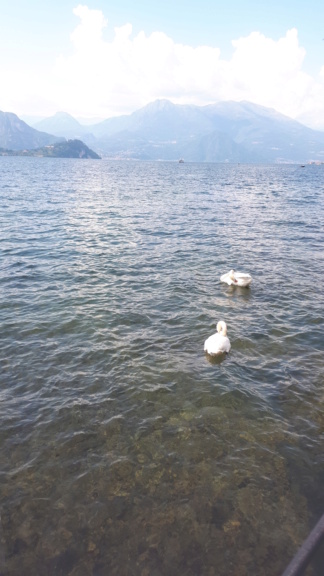 Lago di Como, Lake of Como, Jezero Como 20230622