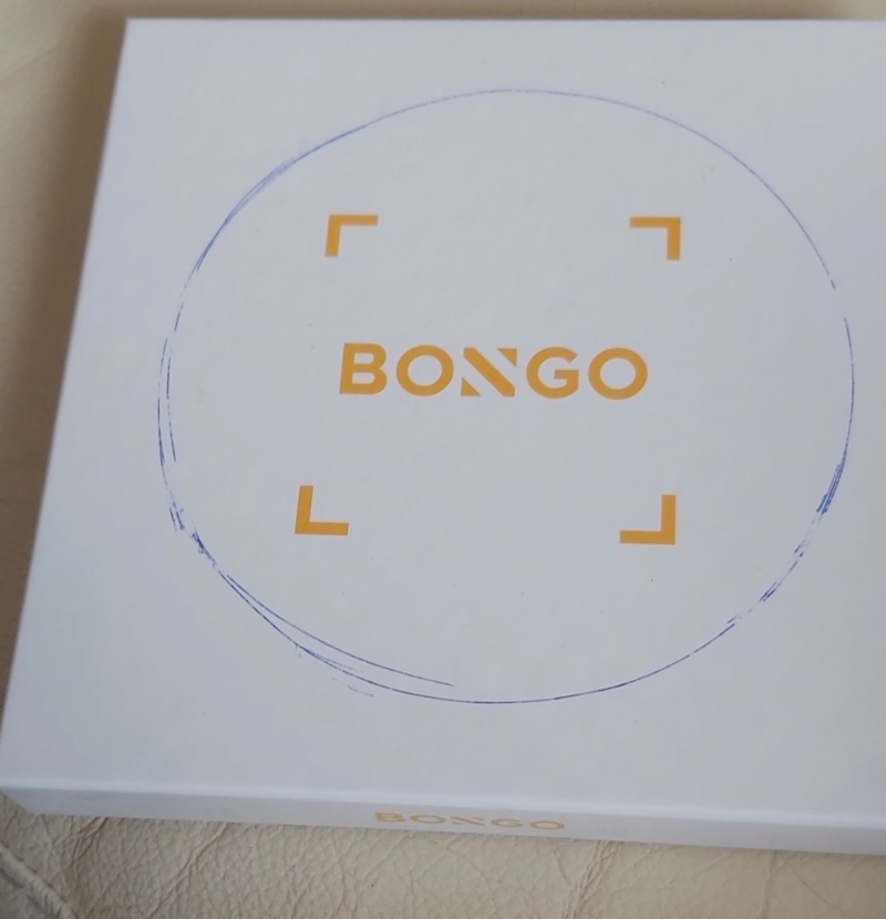 BongoFlat "à pouf"...  Bongo_10