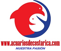 Acuarios De Costa Rica