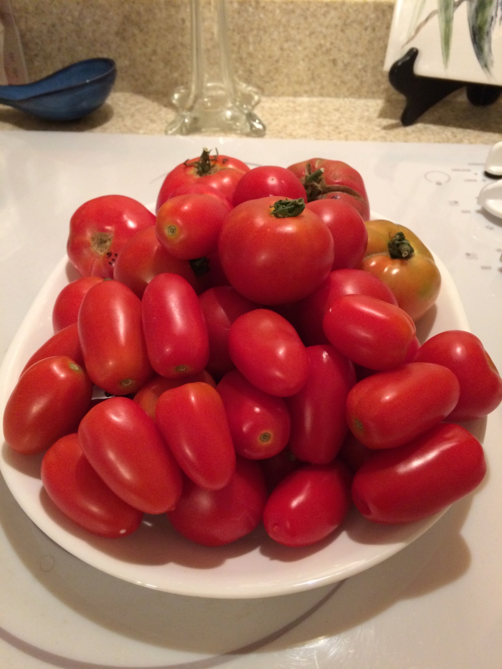 2018/2019 SFG in Brooks, GA - Page 3 Tomato10