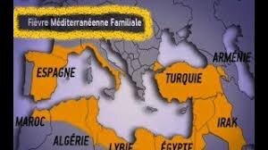 La Fièvre Méditerranéenne touche les populations arabes en particulier Fmfm_i11