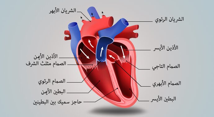 أَيْنَ أَجِد رَاحَتِي!!! Aaao10