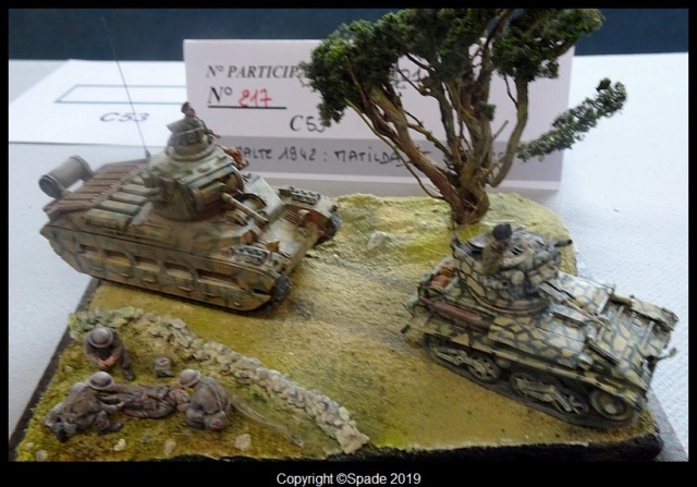 Saumur 2019 :les photos du concours 1/72  - Page 3 Dsc01120