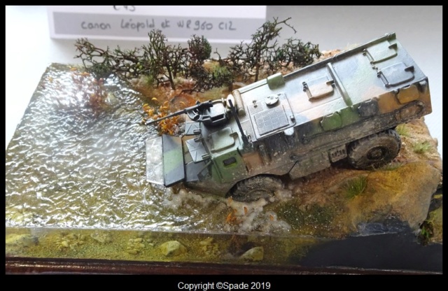 Saumur 2019 :les photos du concours 1/72  - Page 3 Dsc01132