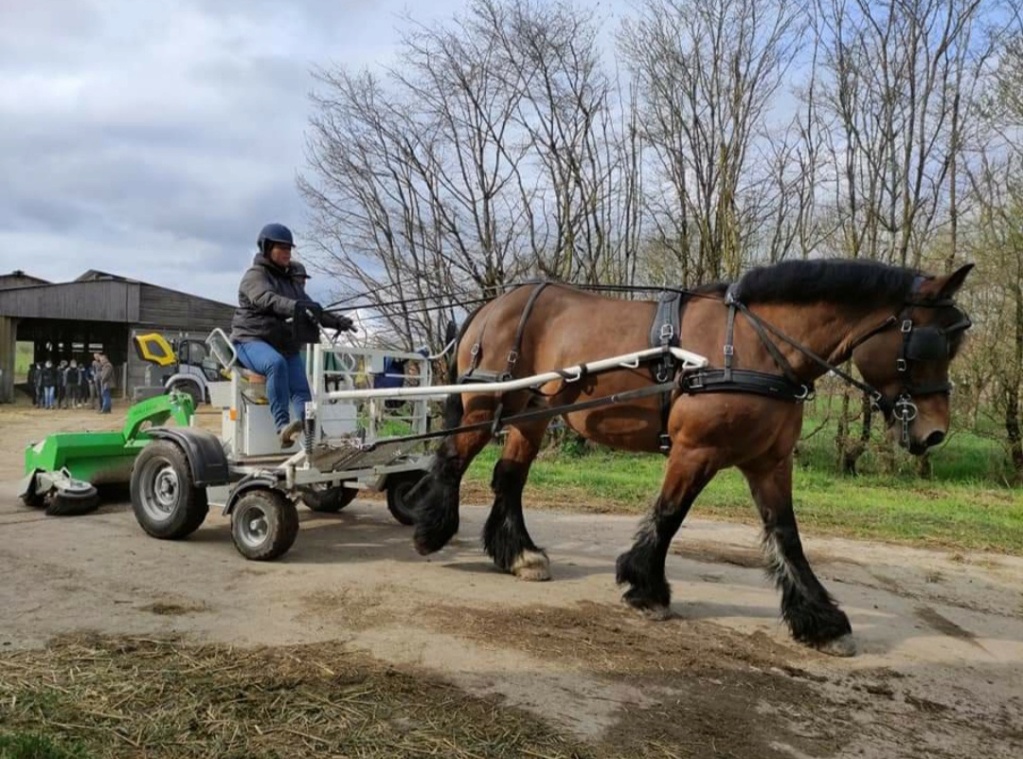 88 POUSSAY  Du Cheval à la puce embarquée le 2 Avril 2022 20220515