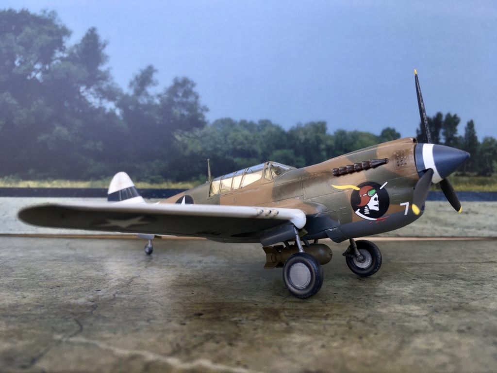 P40N hasegawa LT JB Paris 1/72 Img_e813