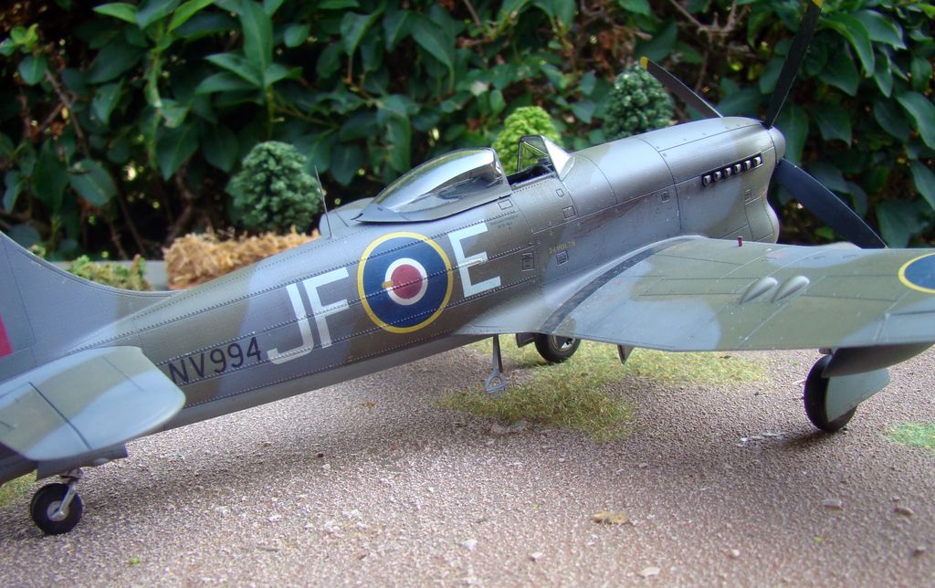  (GB JICEHEM) Hawker Tempest Eduard 1/48 Dsc06923