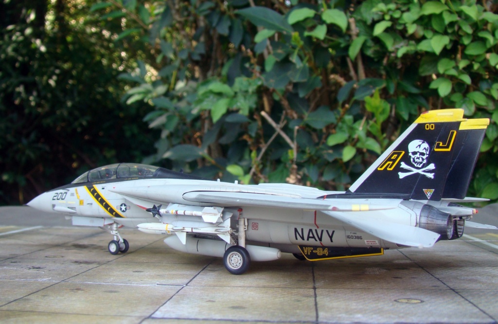 [Academy] 1/72 - Grumman F-14A Tomcat (ancienne référence)  Dsc07032