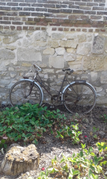 Vélo Motobécanne 20180710