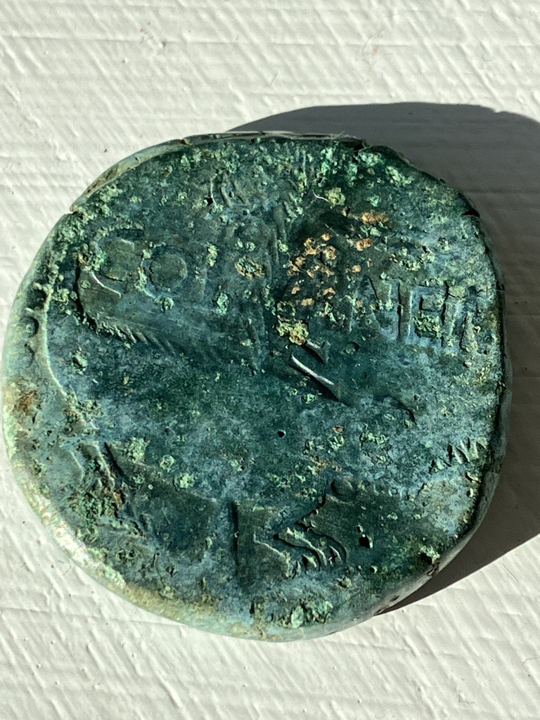  Identification piece (romaine) trouvée dans mon jardin  Micros10