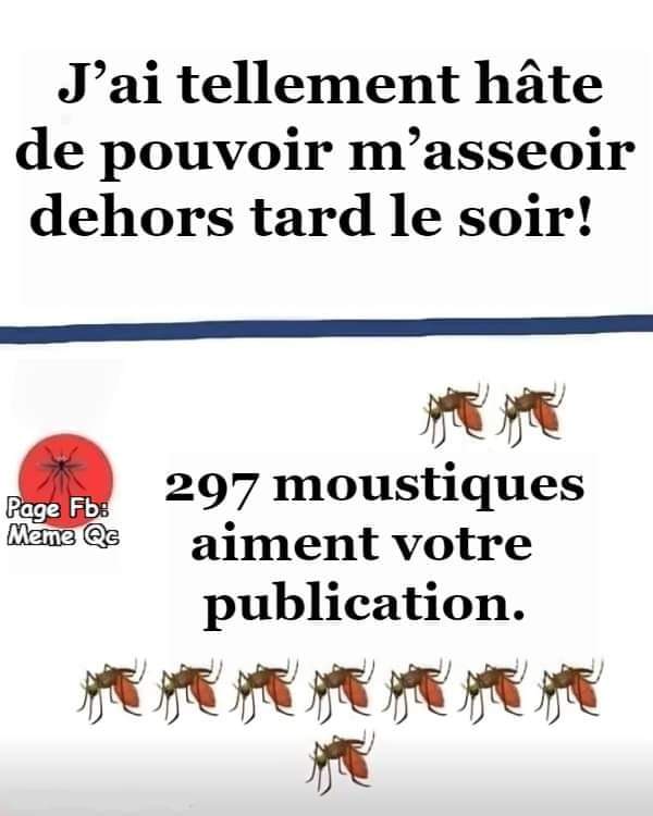 Humour  - Page 35 Fb_img59