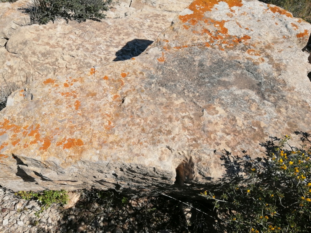 صخرة على شكل سهم (الظاهر) بطول أربعة أمتار بها جرنان مستطيلان  Img_2015