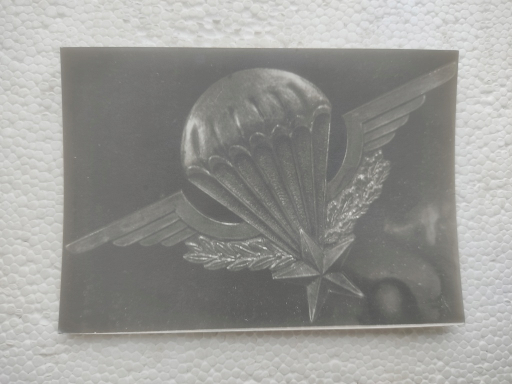 insigne militaire d'une photo prise peut-être dans un musée. Img_2296