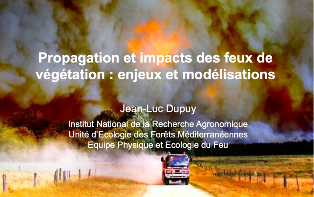  Propagation et impacts des feux de végétation : enjeux et modélisations Captur13