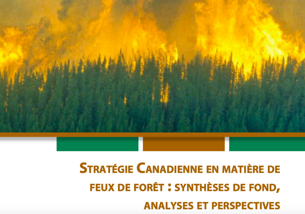 Stratégie Canadienne en matière de feux de forêt  Captur22