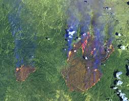 Détection d’image de zones brûlées après un feu de forêt à partir d’image satellitaire Unknow16