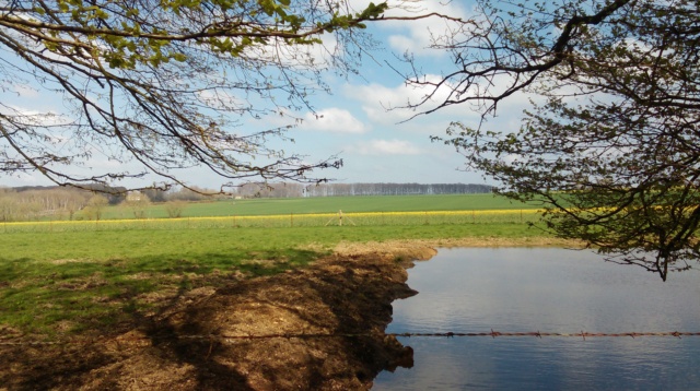 Promenades en biclou dans le pays de Caux Imag0749