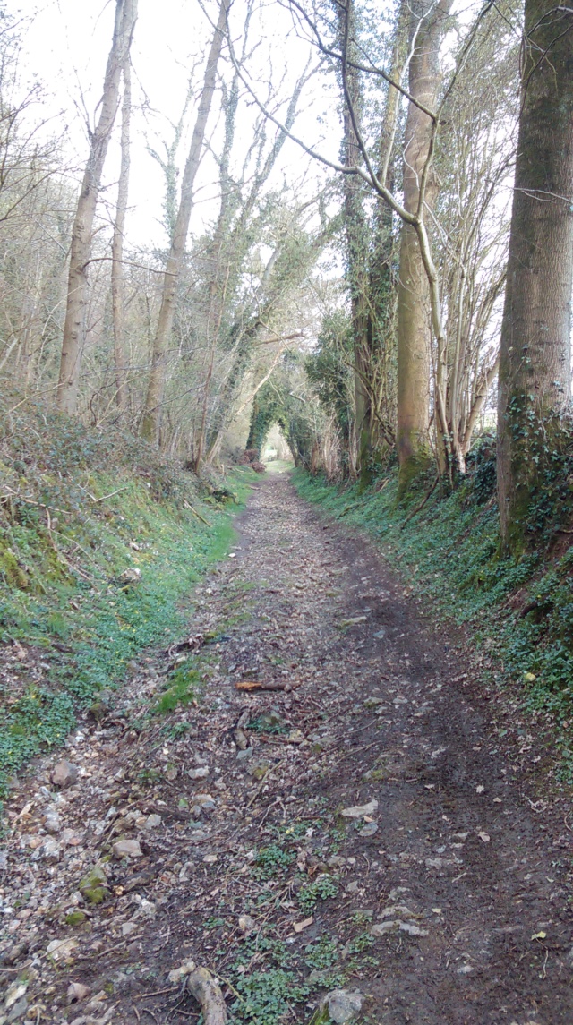 Promenades en biclou dans le pays de Caux Imag0754