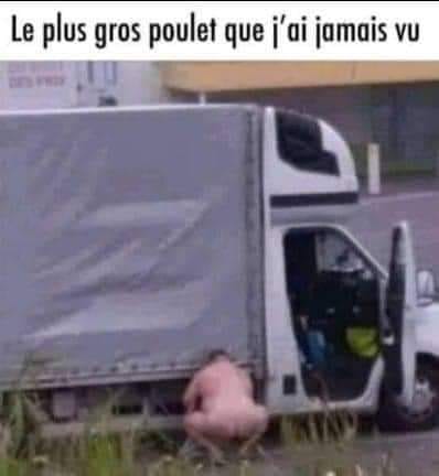 Humour en image du Forum Passion-Harley  ... - Page 27 24171710