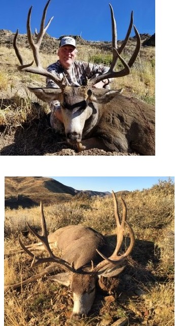 See Ad for hunting elk in Colorado. Buck_210