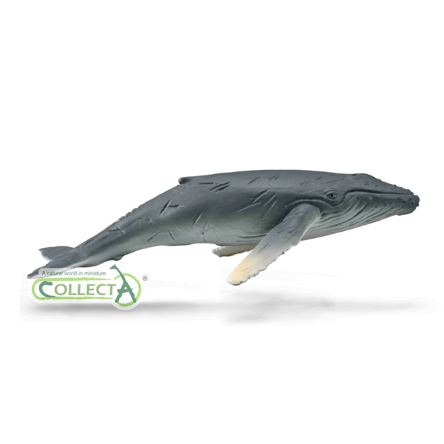 STS 2022 Sealife Figure of the Year! Choose 3 Collec12