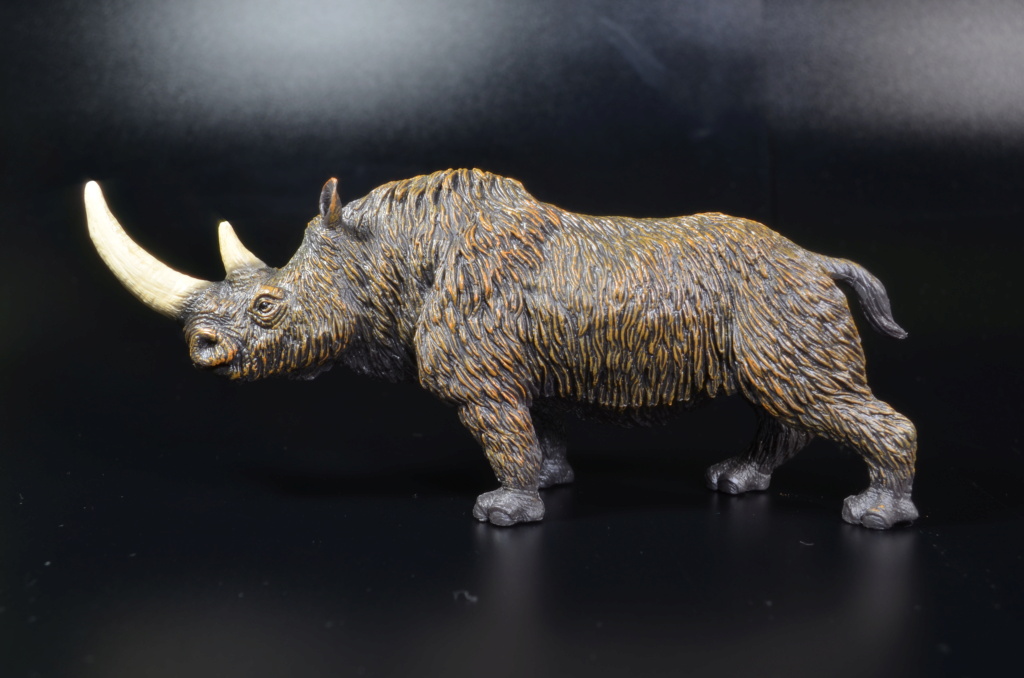 mojo - Mojo 2023 Woolly Rhinoceros Walkaround With Comparisons Dsc_2162