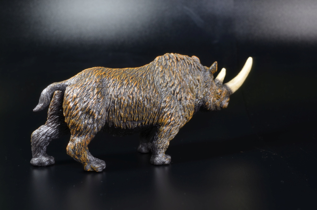 Mojo 2023 Woolly Rhinoceros Walkaround With Comparisons Dsc_2164