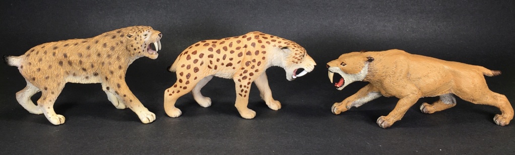 2021 Mojo Fun Snow Leopard & Smilodon Comparisons -Updated Smilodon Comparison Img-0313