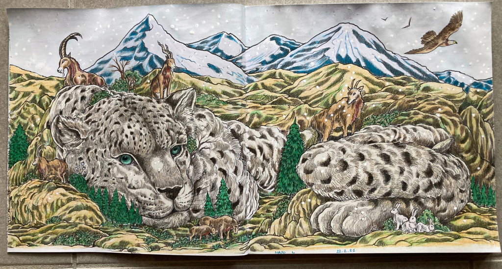 léopard des neiges Leaopa11