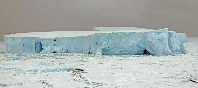 Carnet d'un voyage en Antarctique à bord du nouveau brise-glace de Ponant Le Commandant Charcot Img_3710