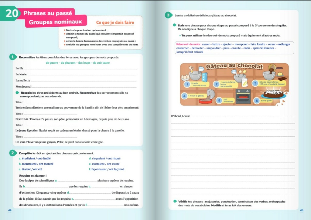 Quel cahier pour une élève de 6e avec un niveau de CE2 ? Captur11