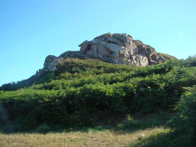 Puka et Chadka en Bretagne 20_pri10