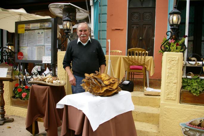 Isère : il cueille un champignon de 9 kg ! Photo-10