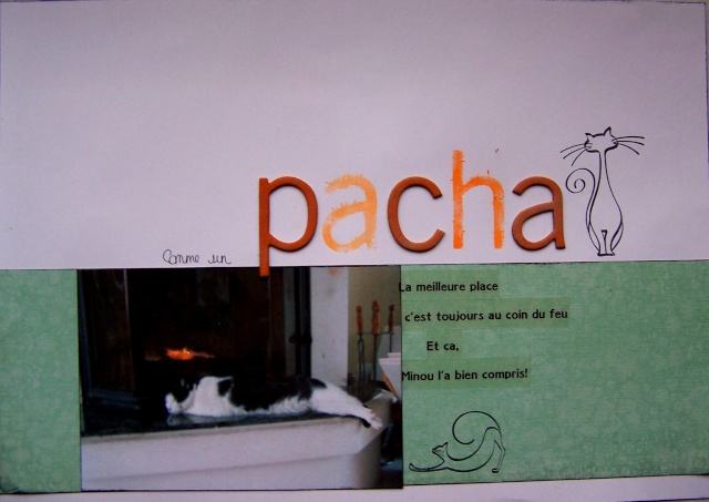 Inspiration du 8 fvrier - Page 2 Pacha10