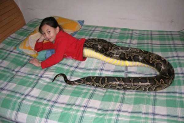 Une filette-serpent (Thailande) Fille-10