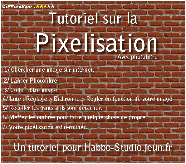 Tutoriel Pour La Pixelisation. Pixeli11