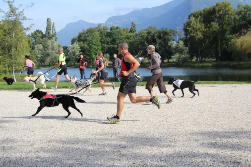 Canicross le 22septembre à Sassenage (proche Grenoble) - Page 2 12694510