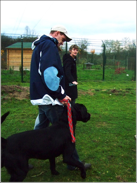 BALOU (croisé labrador) - Page 2 101_2211