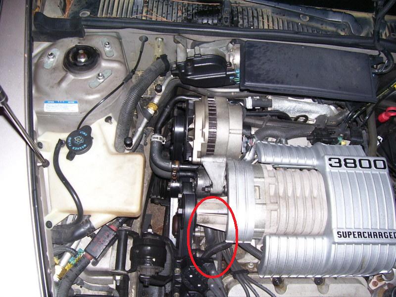 What hose is this?? New00310