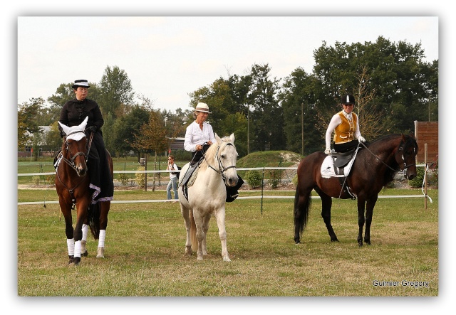 [21 septembre 2013]Décathlon fête le cheval. Decath12